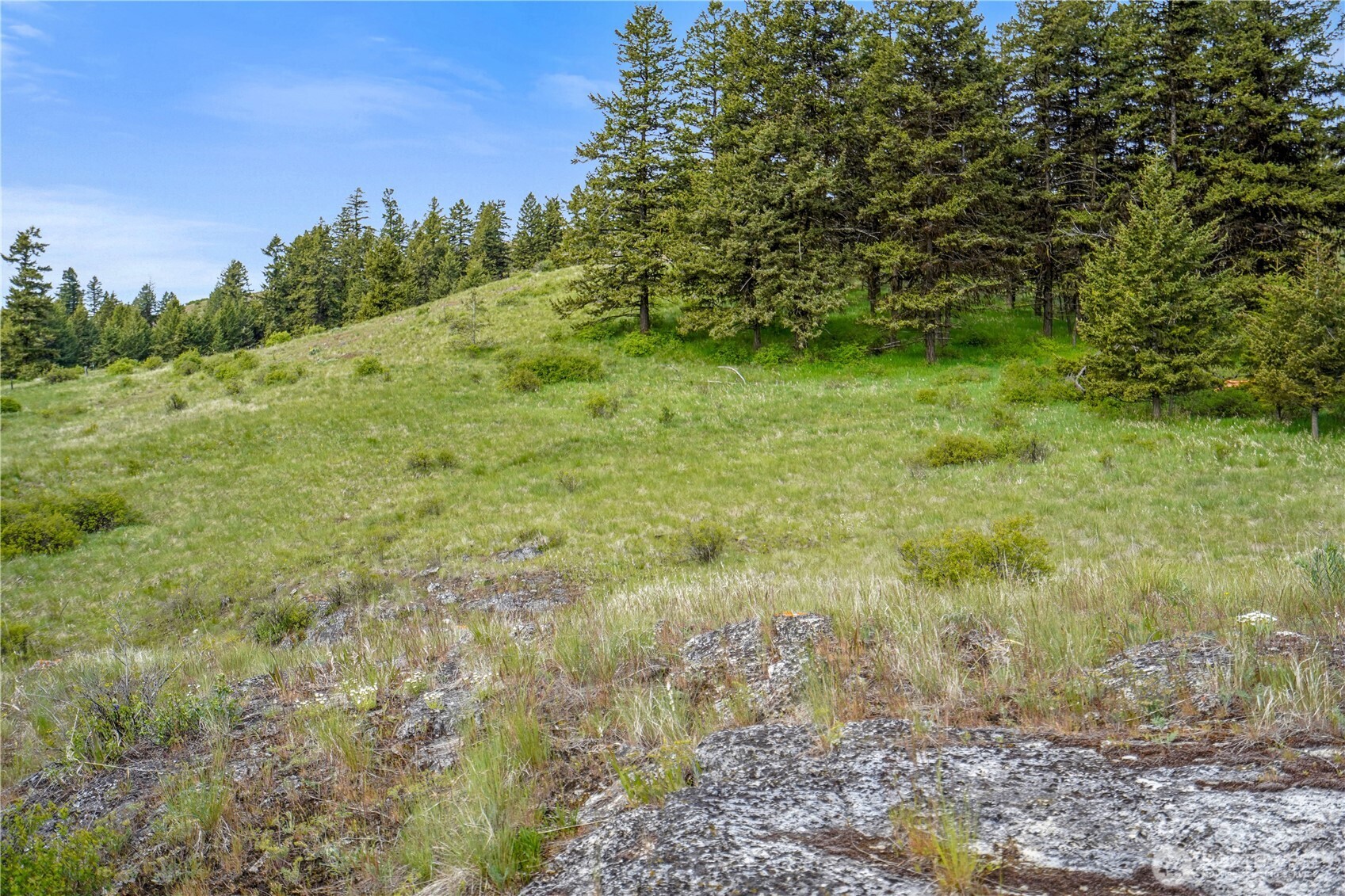 Oroville, Washington 98844, United States, ,Land,Active,118874