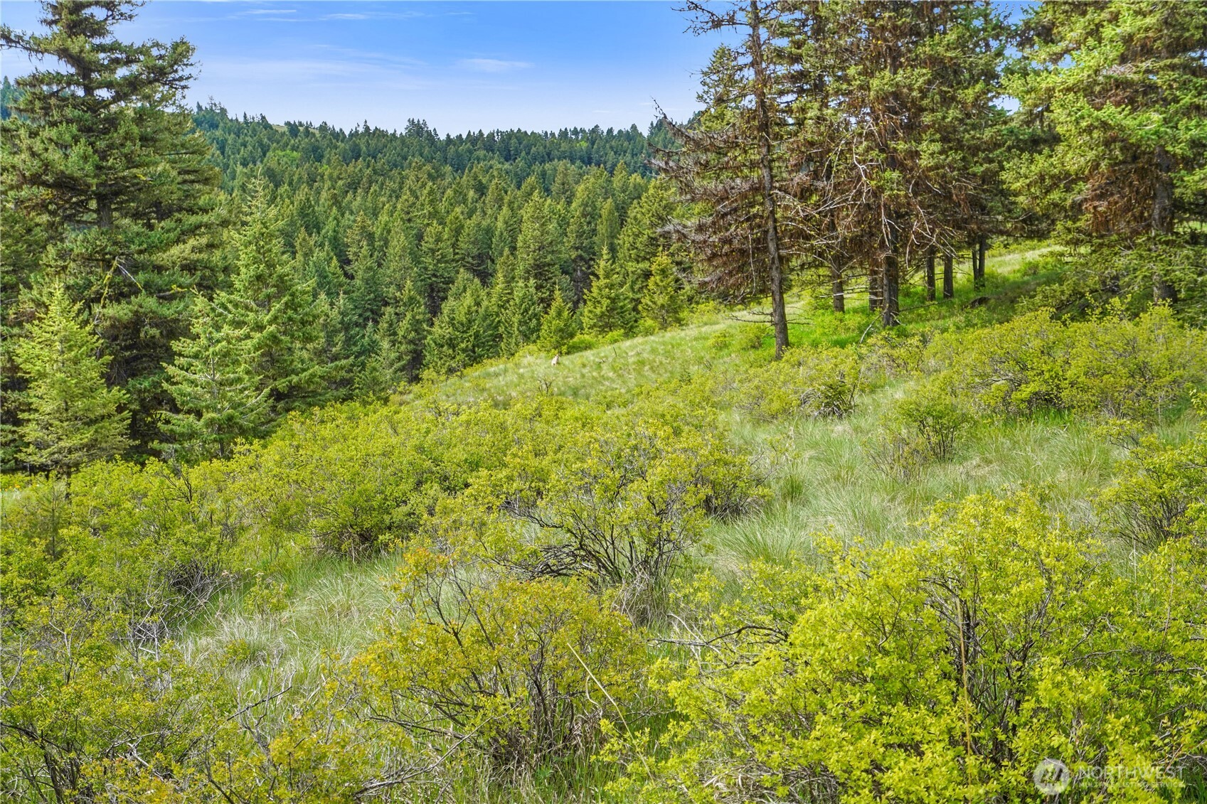 Oroville, Washington 98844, United States, ,Land,Active,118874