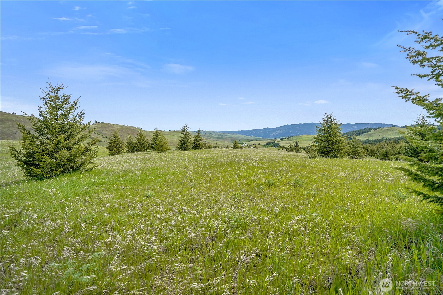 Oroville, Washington 98844, United States, ,Land,Active,118874