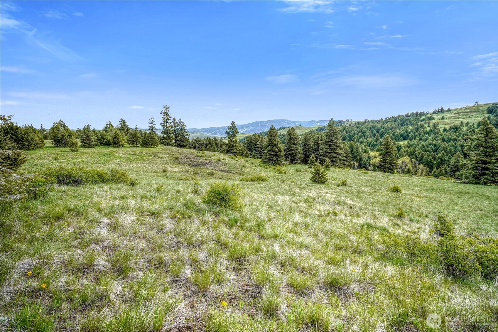 Oroville, Washington 98844, United States, ,Land,Active,118874