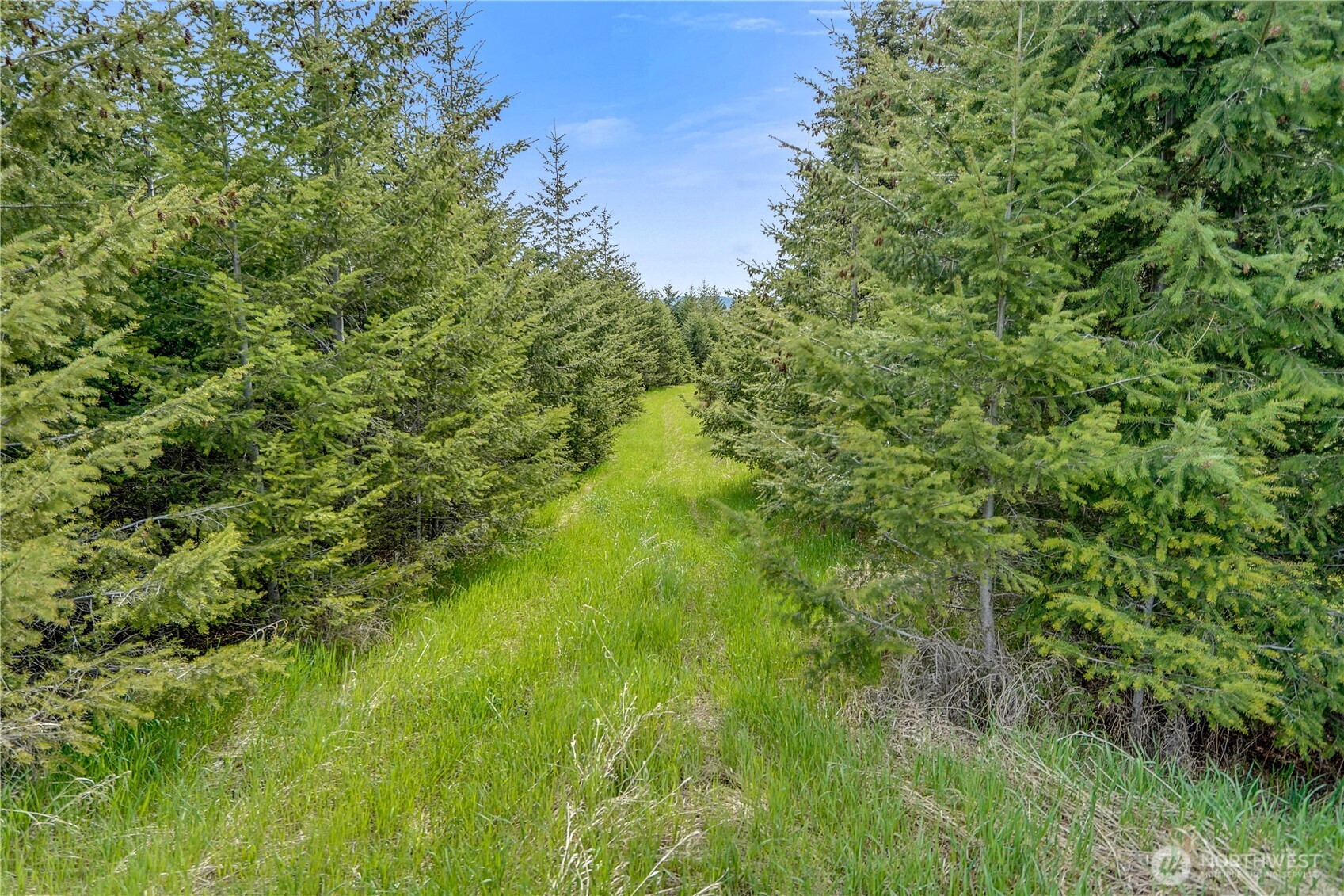 Oroville, Washington 98844, United States, ,Land,Active,118874