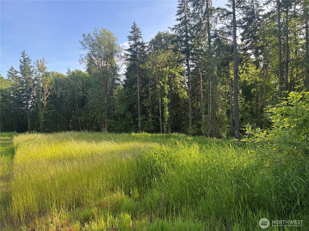 Photo of 237 Haussler Road, Kelso, WA 98626 (MLS # 2526604)