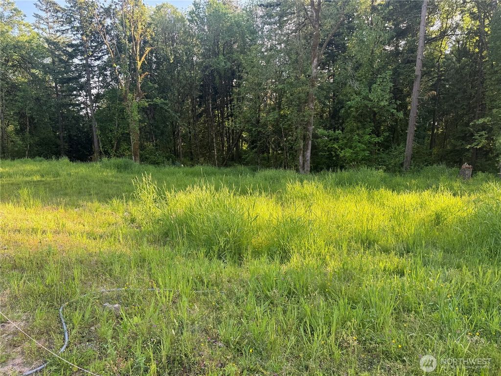 Photo of 237 Haussler Road, Kelso, WA 98626 (MLS # 2526604)