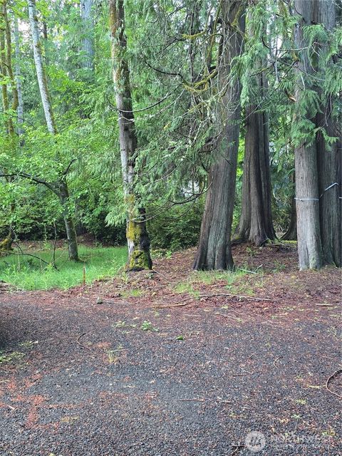 Photo of 441 E Pointes Drive E, Shelton, WA 98584 (MLS # 2525289)