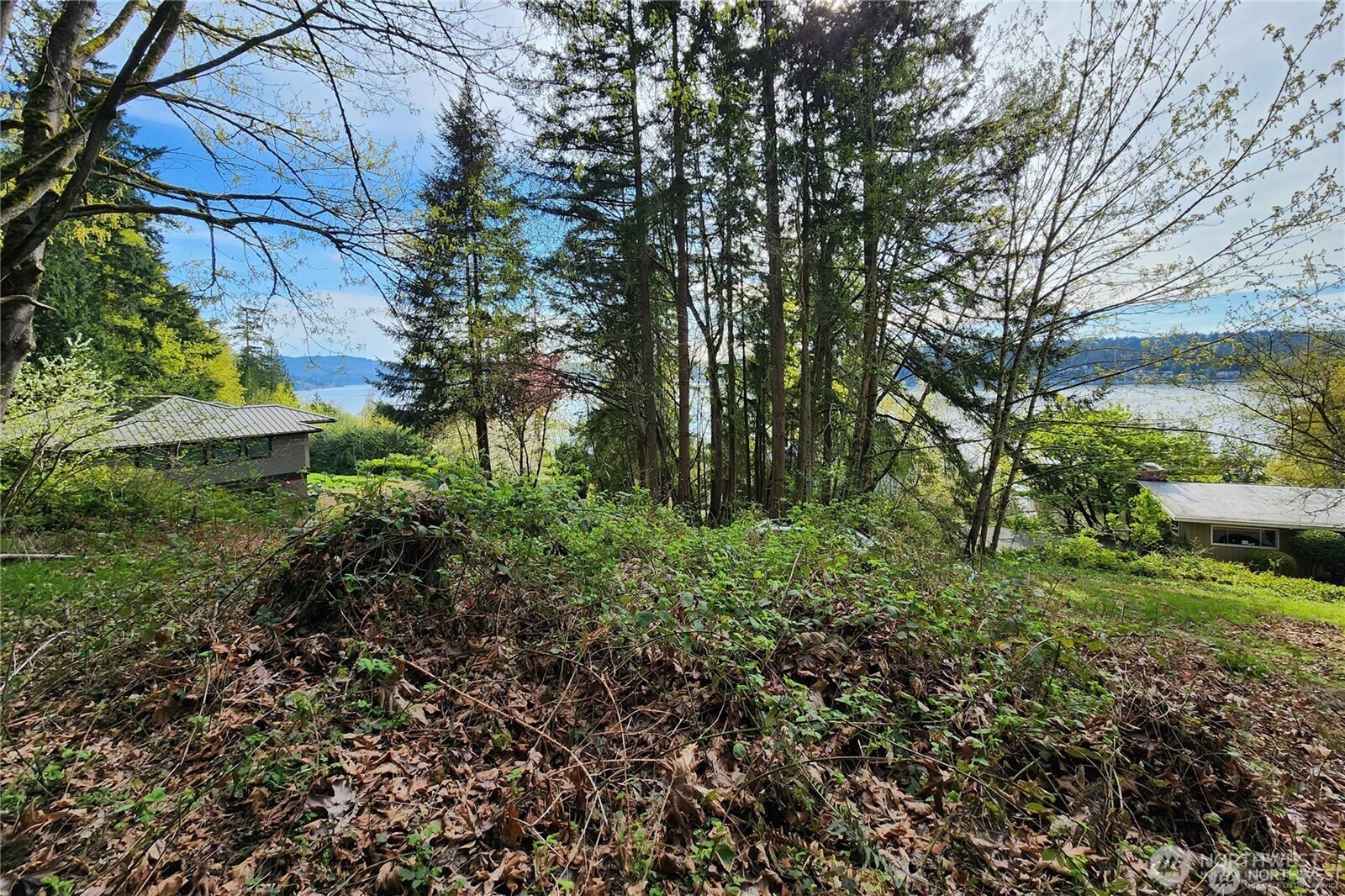 0 E Lake Sammamish Parkway NE