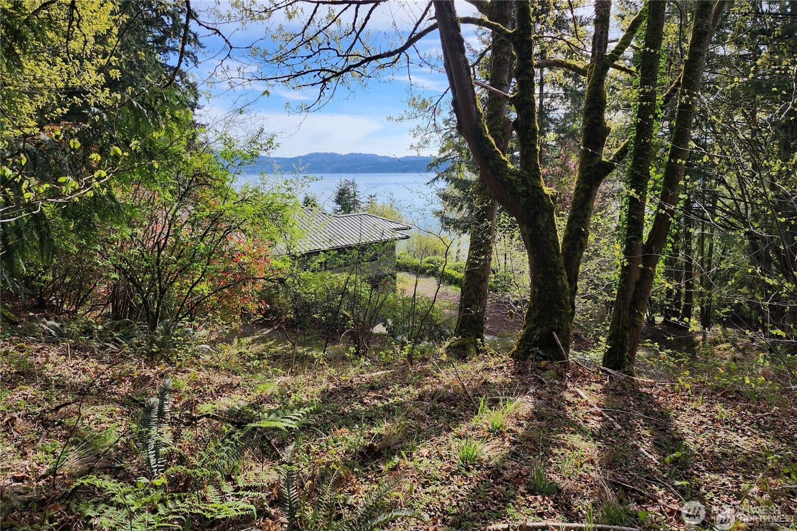 0 E Lake Sammamish Parkway NE