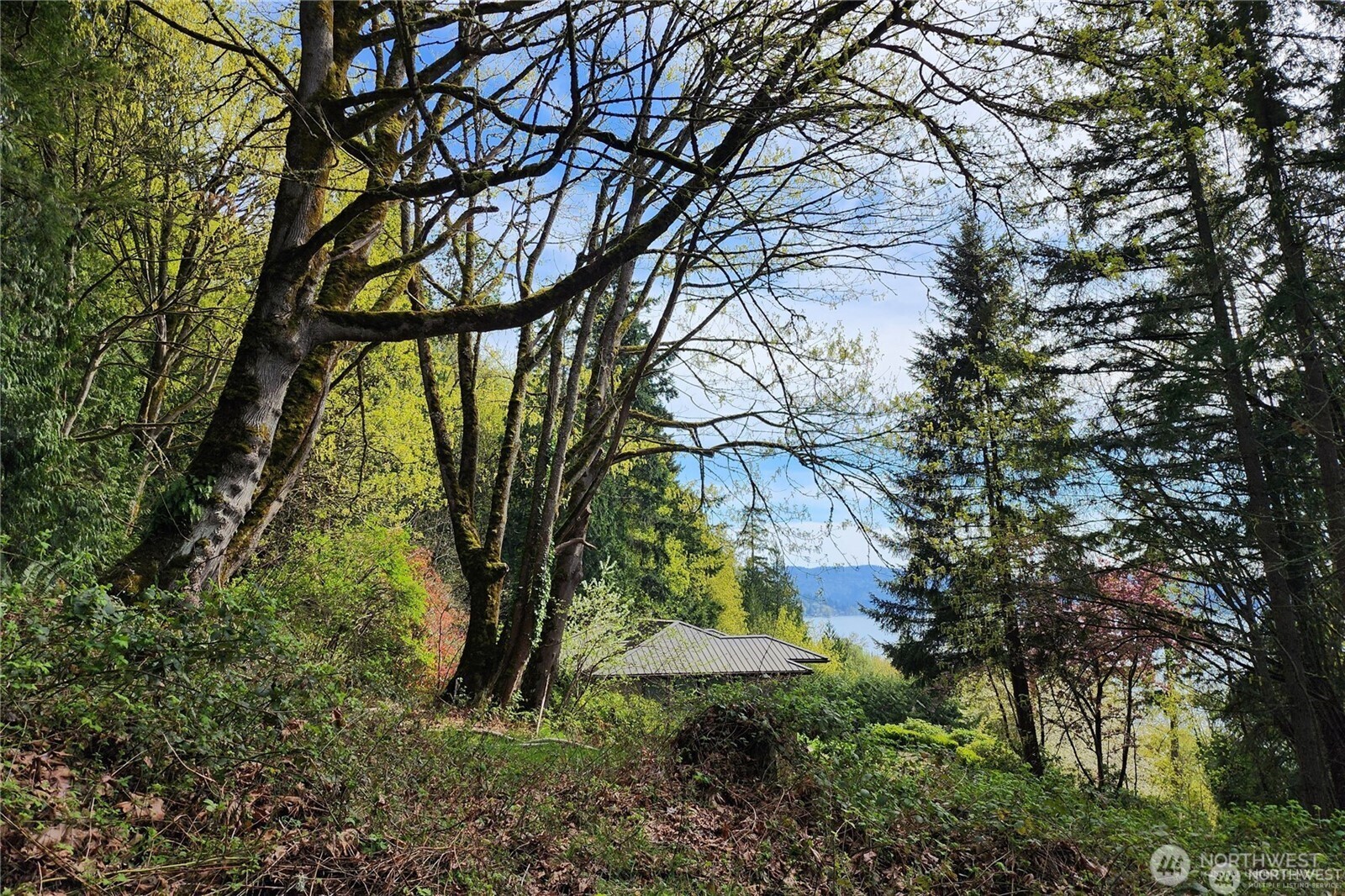 0 E Lake Sammamish Parkway NE