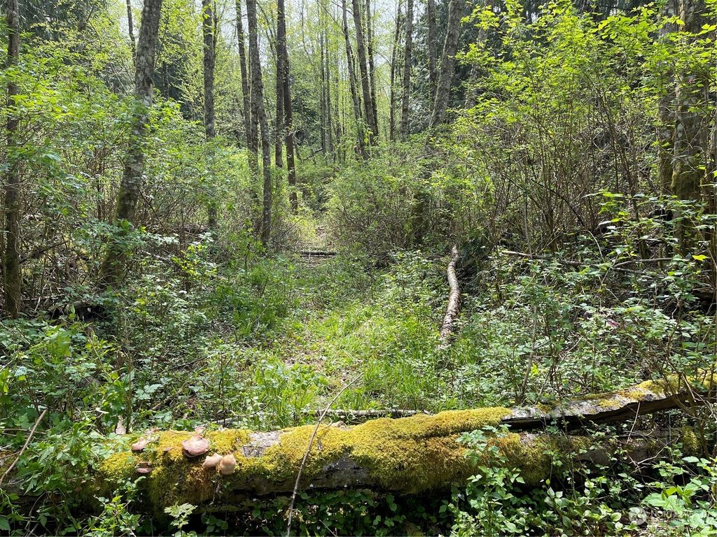 Photo of 16200 30th Avenue NW, Lake Goodwin, WA 98292 (MLS # 2059502)