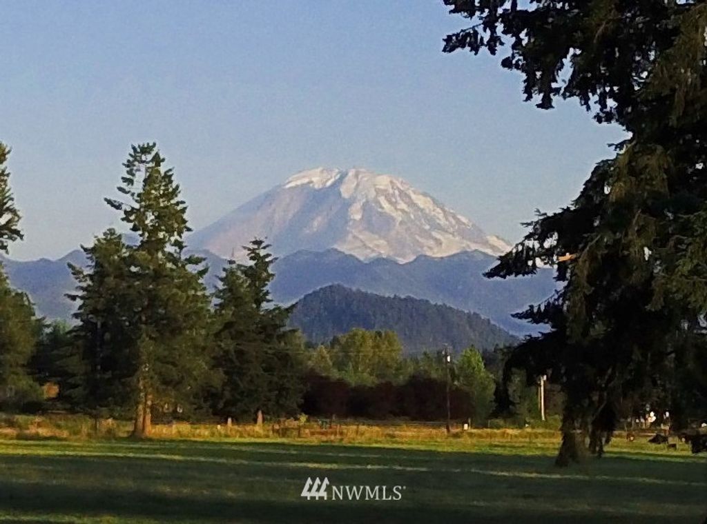 Photo of 40127 244th Avenue SE, Enumclaw, WA 98022 (MLS # 1950621)