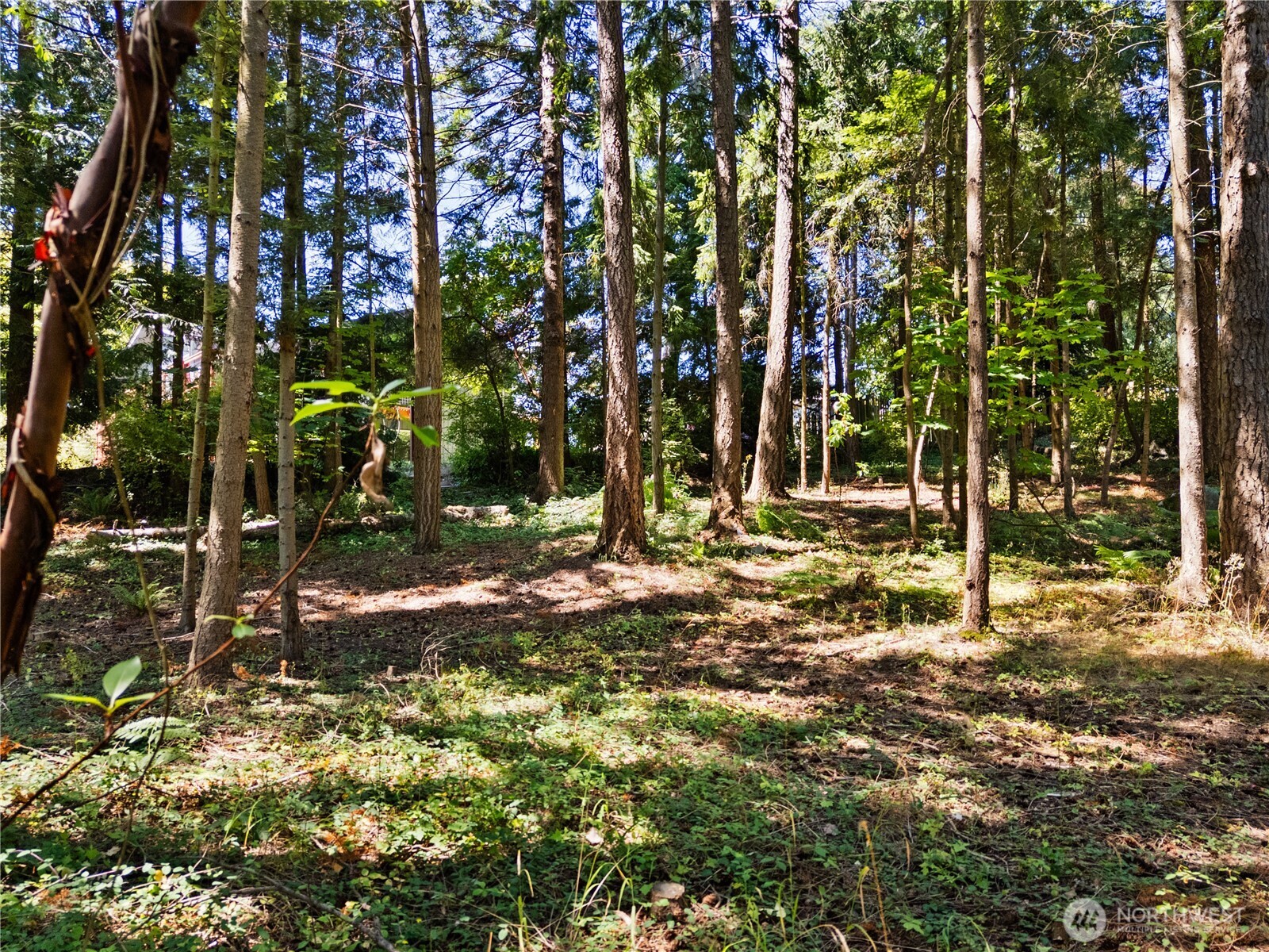 629 Shushwap Lane