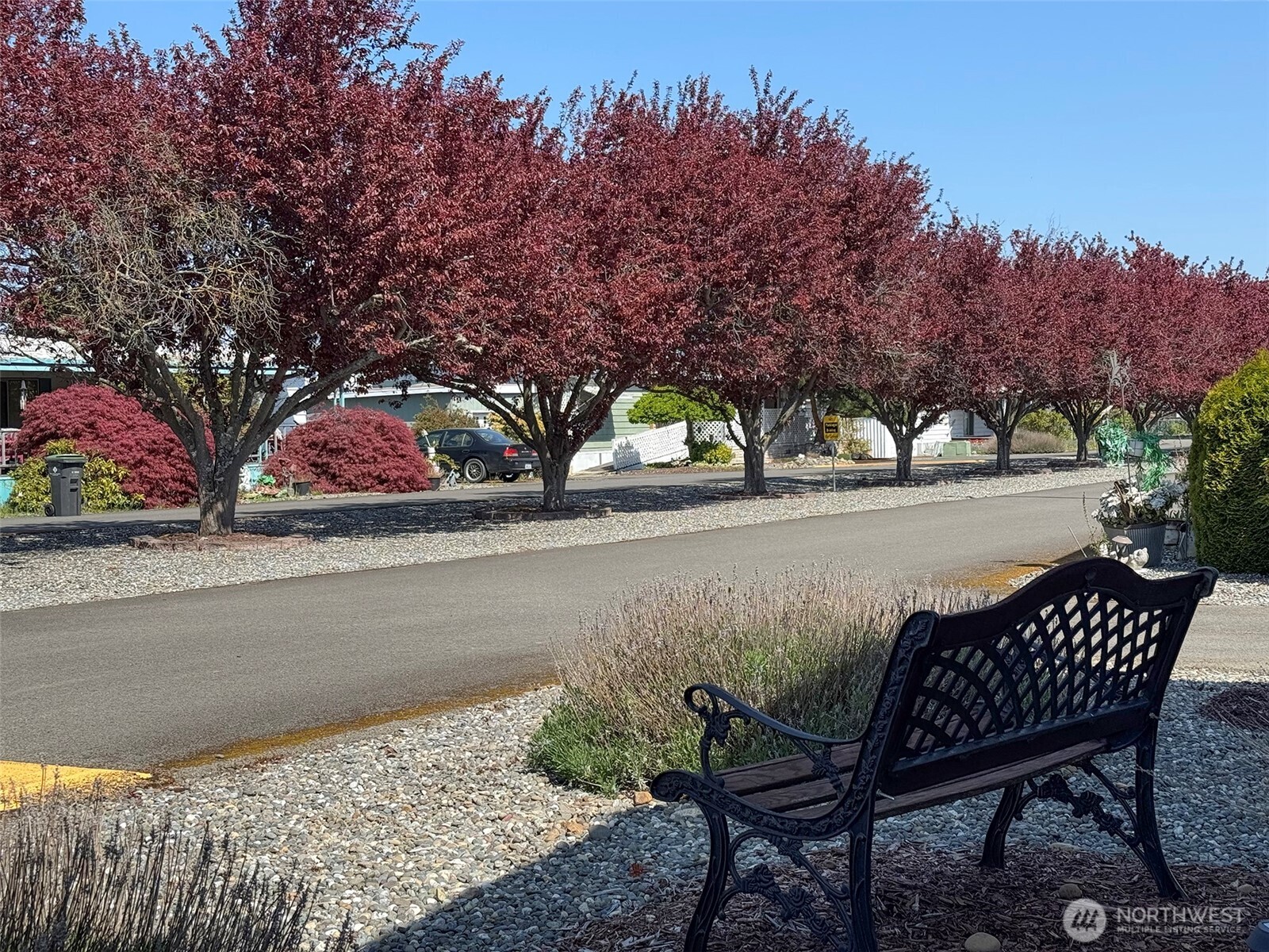 610 W Spruce 124