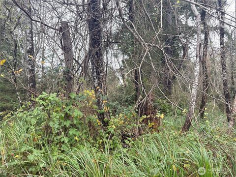 Photo of 294 XX S Lane, Ocean Park, WA 98640 (MLS # 2460164)