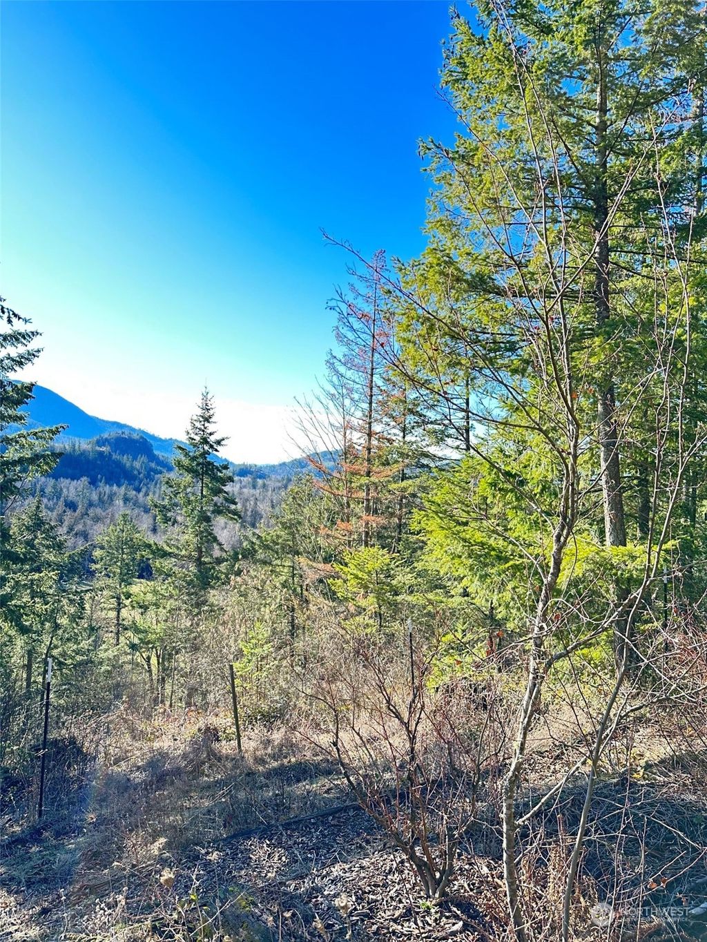 listing image 9364288396880392493