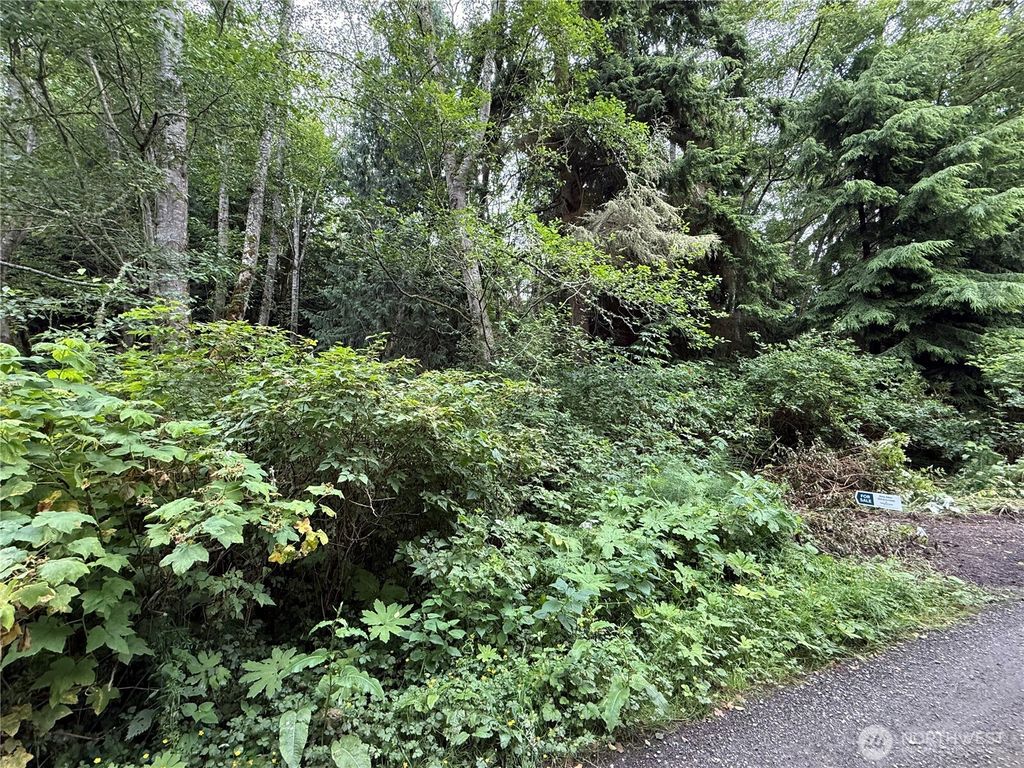 Photo of 0 Hill Street, Port Ludlow, WA 98365 (MLS # 2467827)