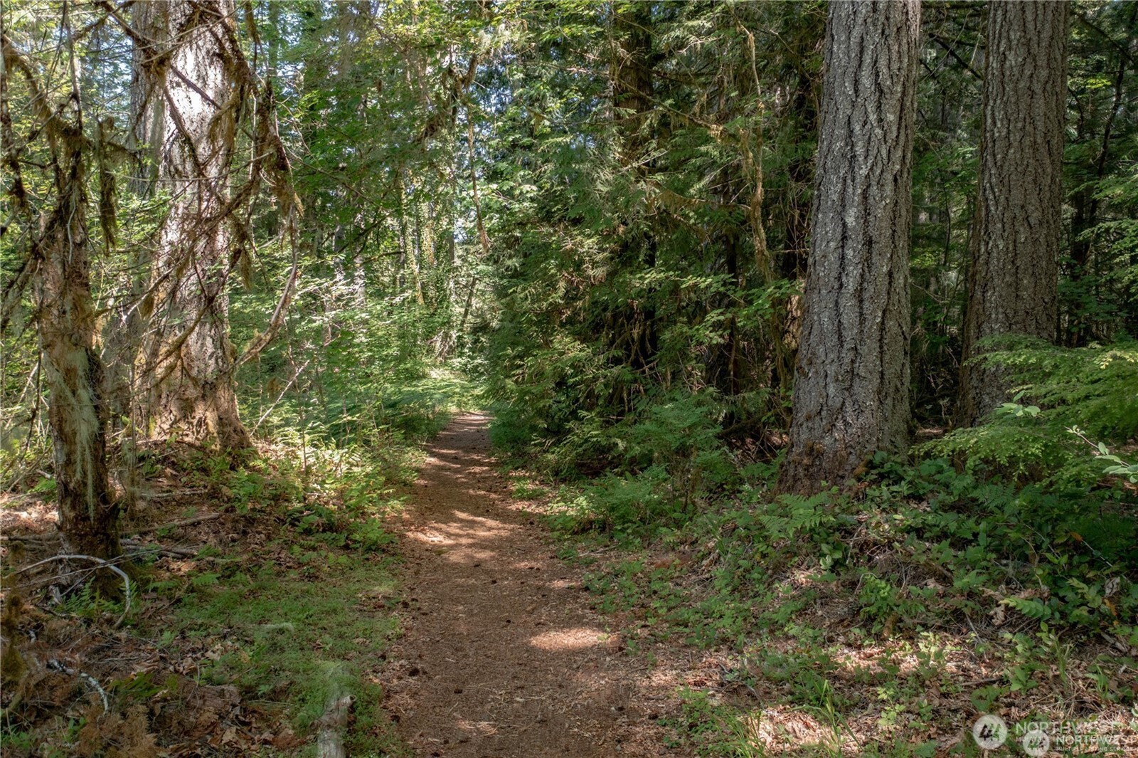 220 N Duckabush Drive W