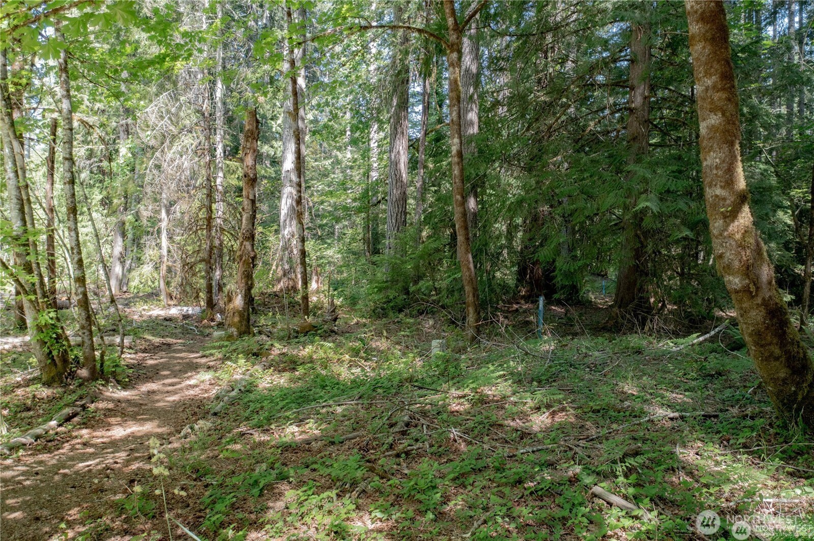 220 N Duckabush Drive W