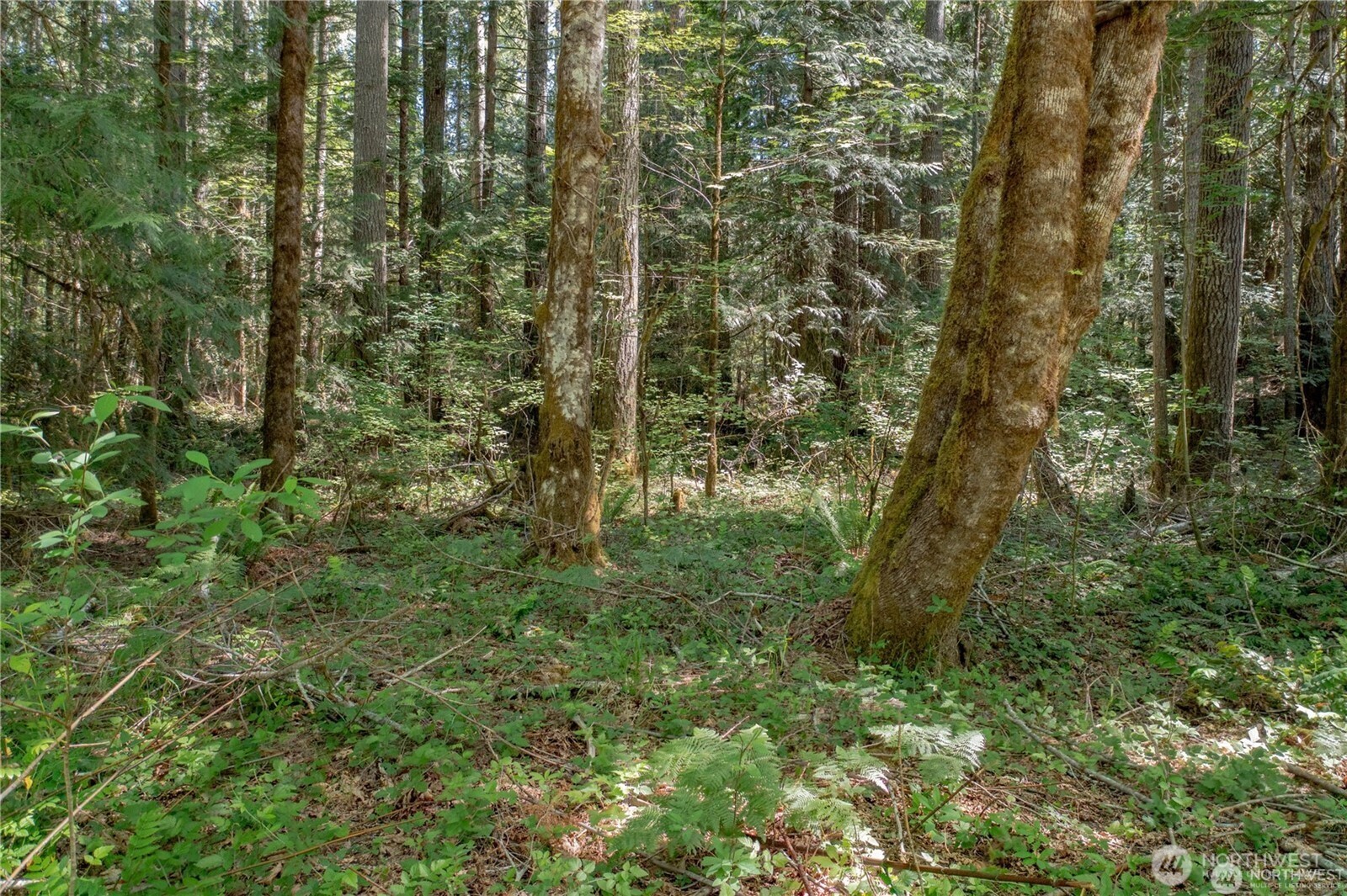 220 N Duckabush Drive W