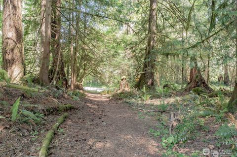 220 N Duckabush Drive W Hoodsport WA 98548