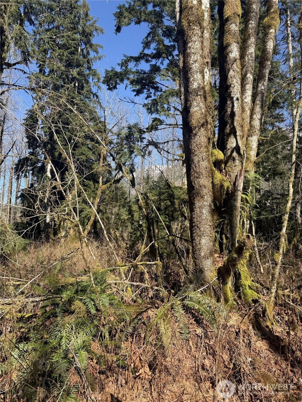 Photo of 63602 190th Street NE, Baring, WA 98224 (MLS # 2495550)