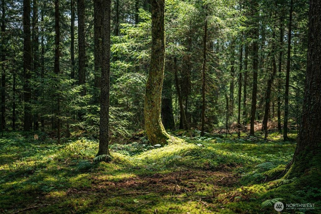 Photo of 44110 SE 159th Street, North Bend, WA 98045 (MLS # 2505518)