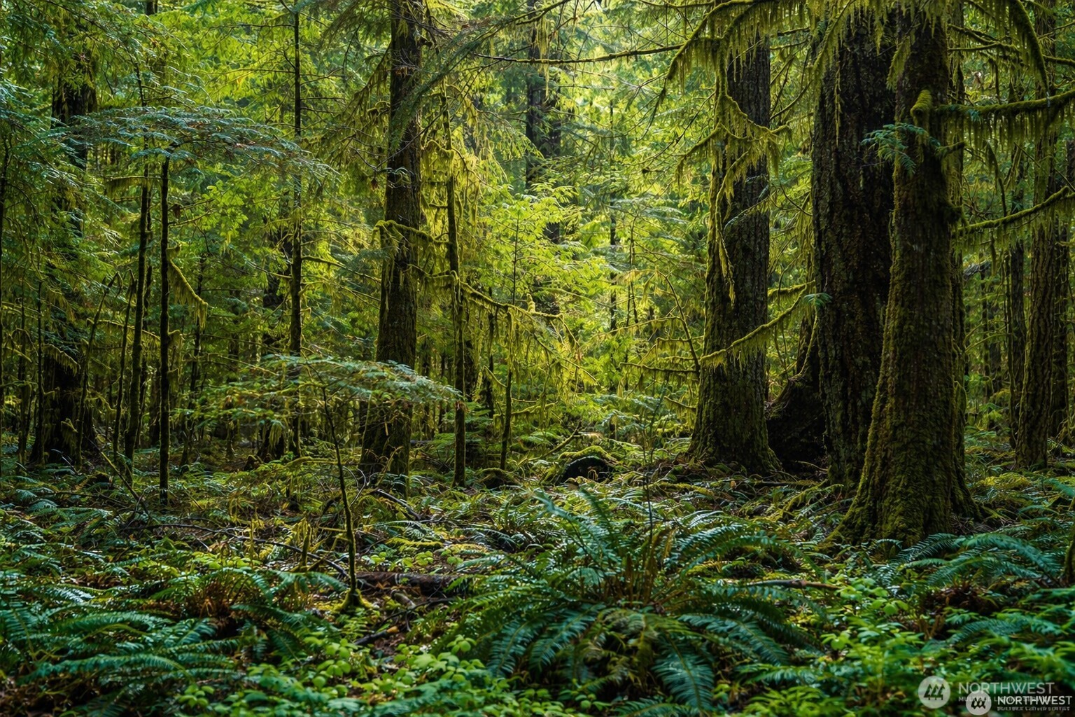 44110 SE 159th Street