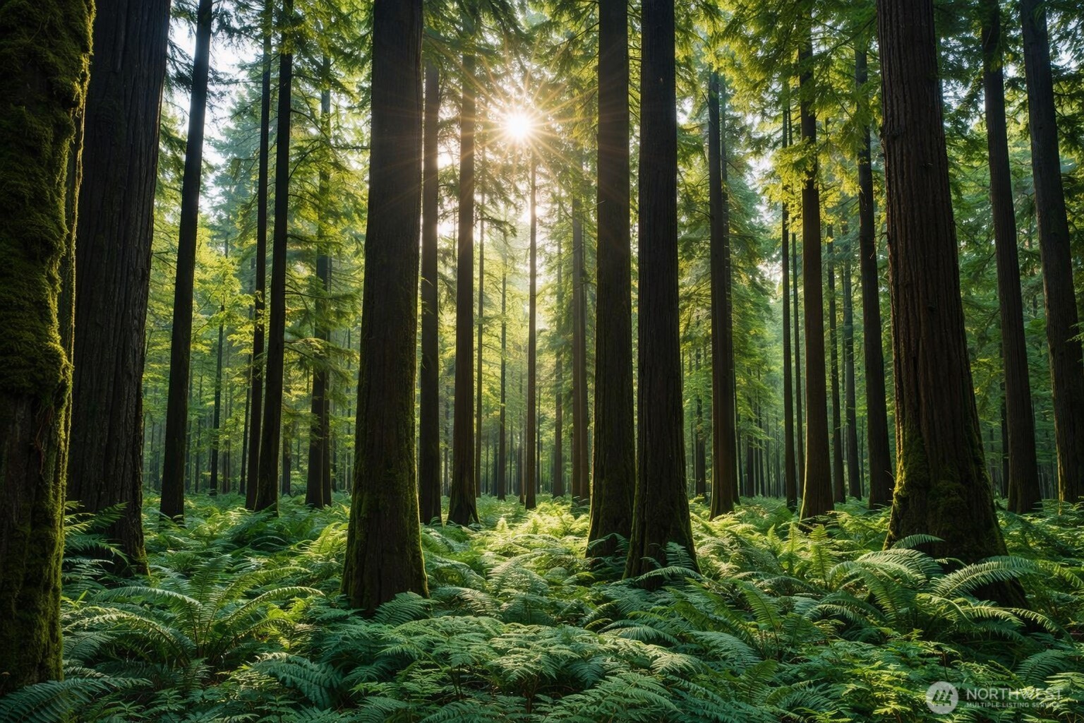 44110 SE 159th Street