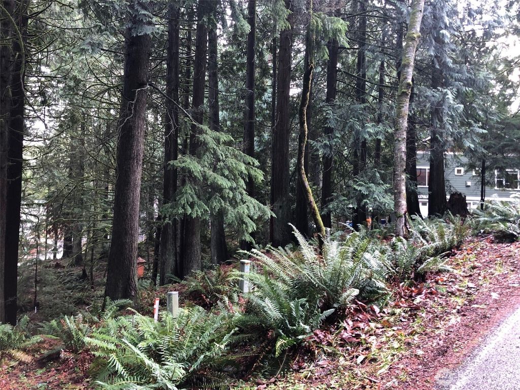 Photo of 3 Maple Court, Bellingham, WA 98229 (MLS # 2472007)