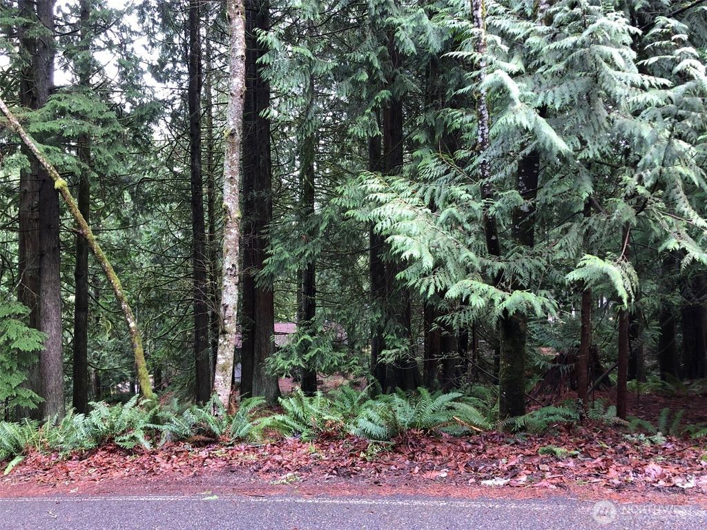 Photo of 3 Maple Court, Bellingham, WA 98229 (MLS # 2472007)