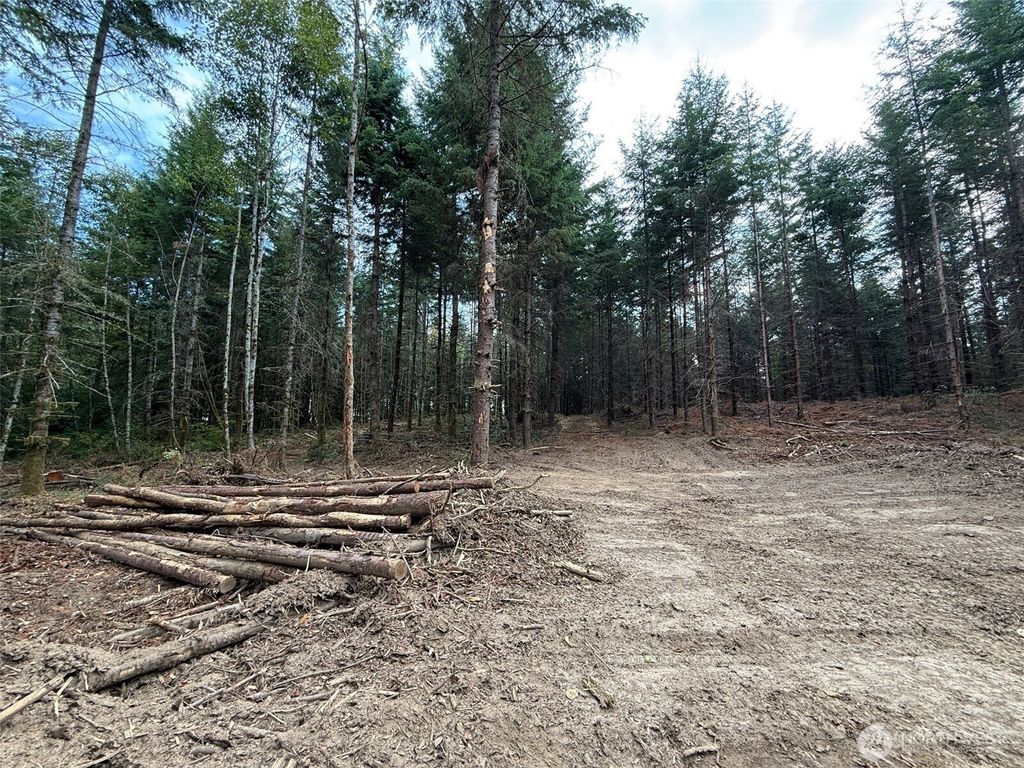 Photo of 216 xx Zenkner Valley Road SW, Centralia, WA 98531 (MLS # 2464772)