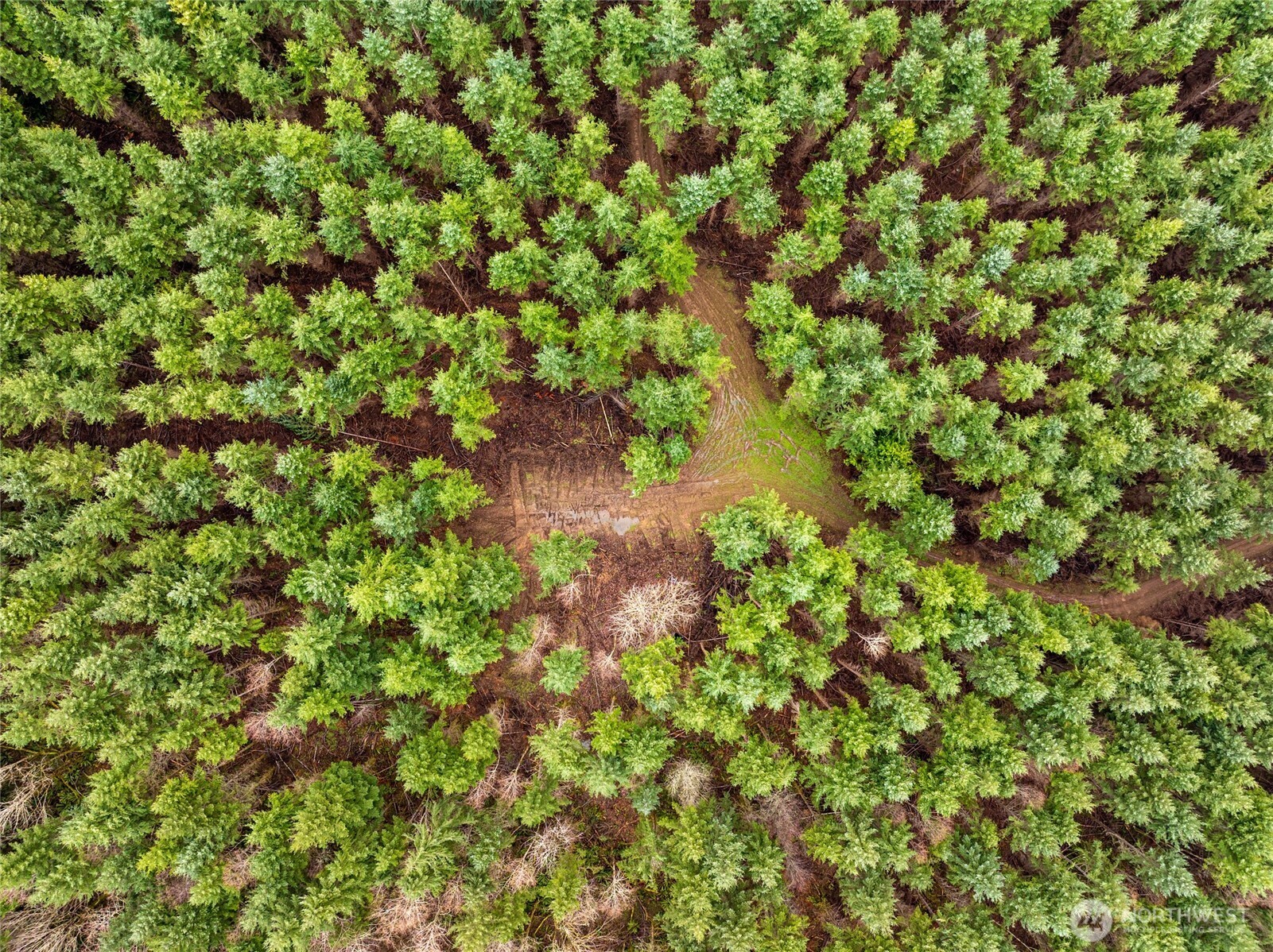 216 Zenkner Valley Road SW