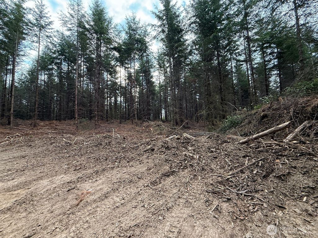 Photo of 216 xx Zenkner Valley Road SW, Centralia, WA 98531 (MLS # 2464772)