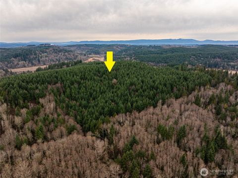 216 Zenkner Valley Road SW Centralia WA 98531