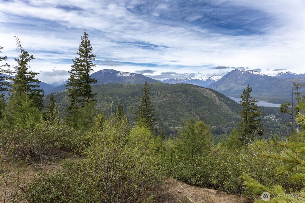 Photo of 0 Forest Service 6601-550 Rd, Leavenworth, WA 98826 (MLS # 2506589)