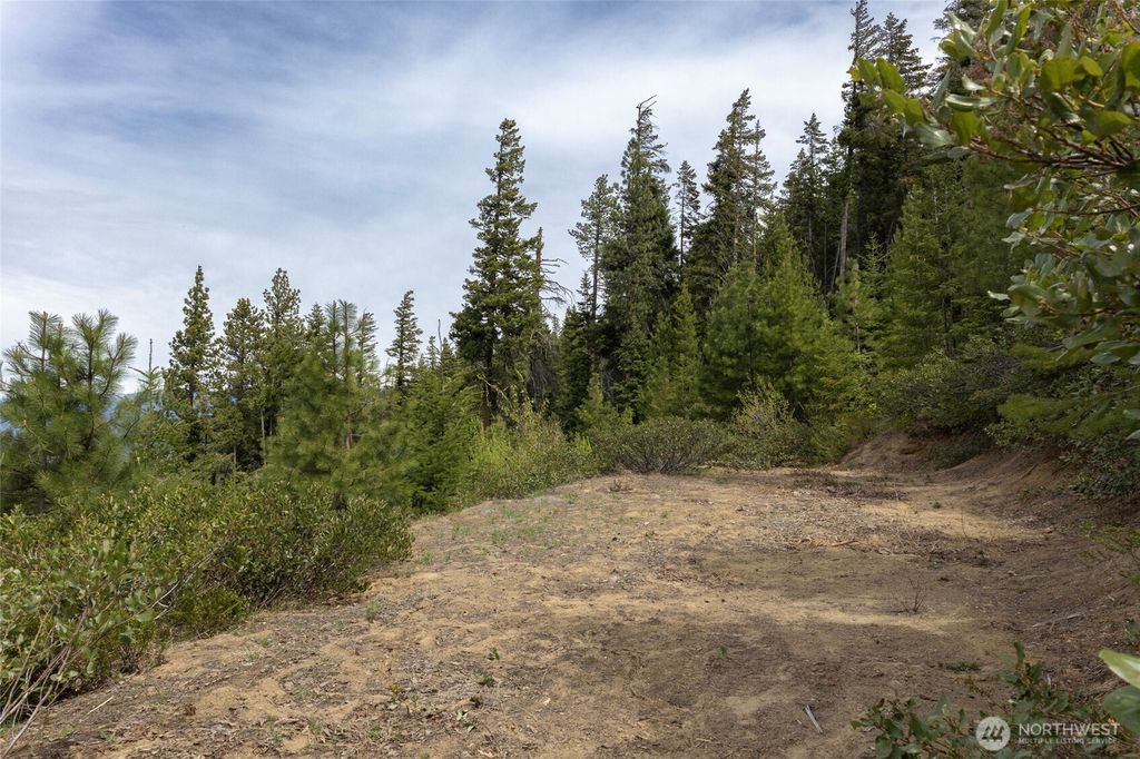 Photo of 0 Forest Service 6601-550 Rd, Leavenworth, WA 98826 (MLS # 2506589)