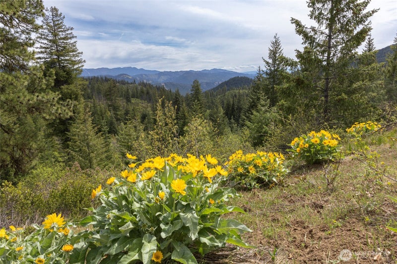 0 Forest Service 6601-550 Rd