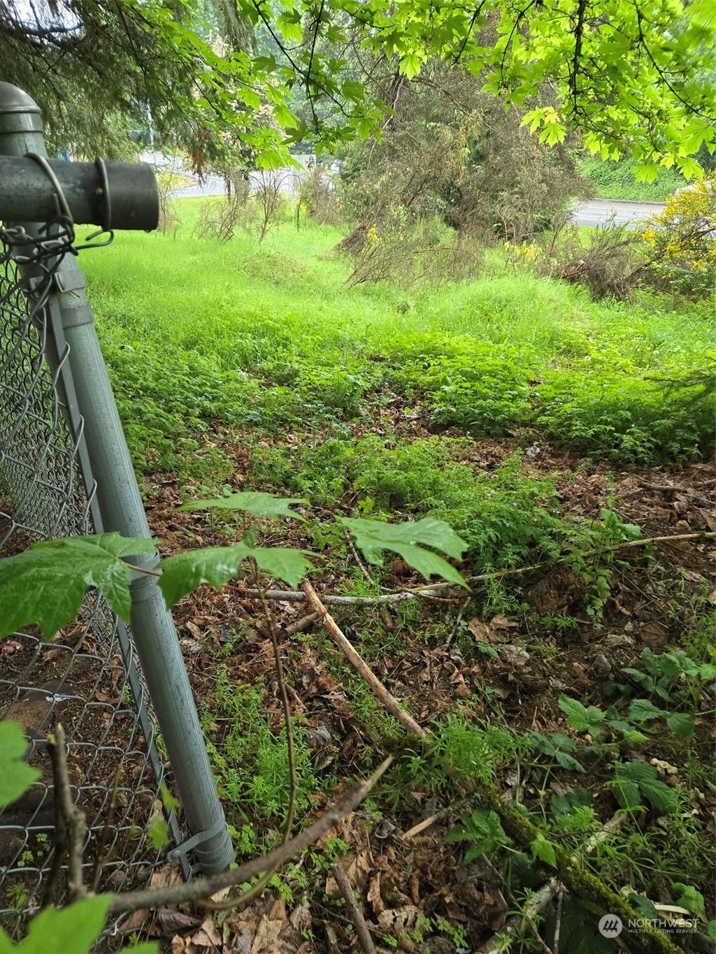 Photo of 12804 163rd Avenue SE, Renton, WA 98059 (MLS # 2239123)