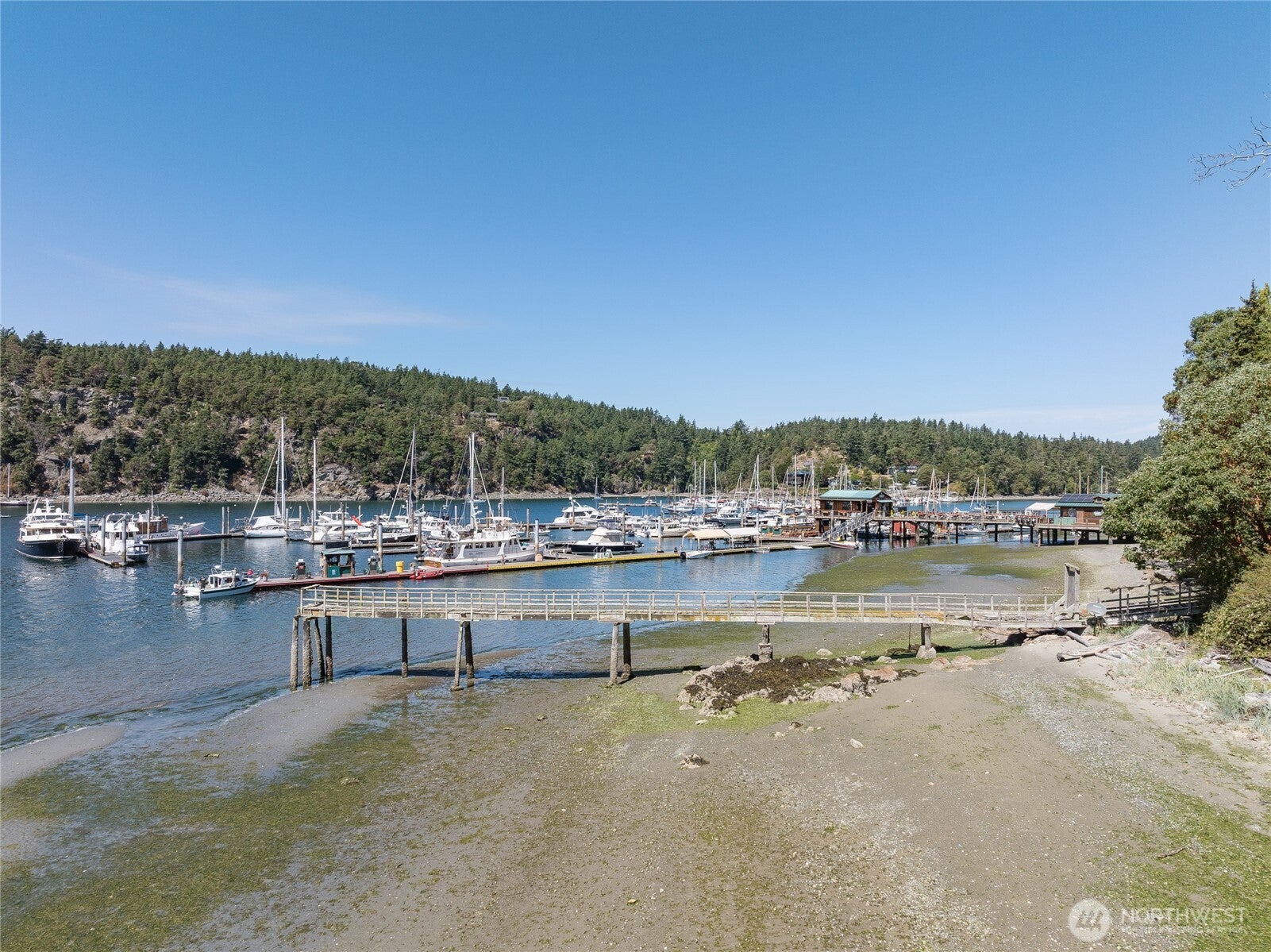 5244 Deer Harbor Road