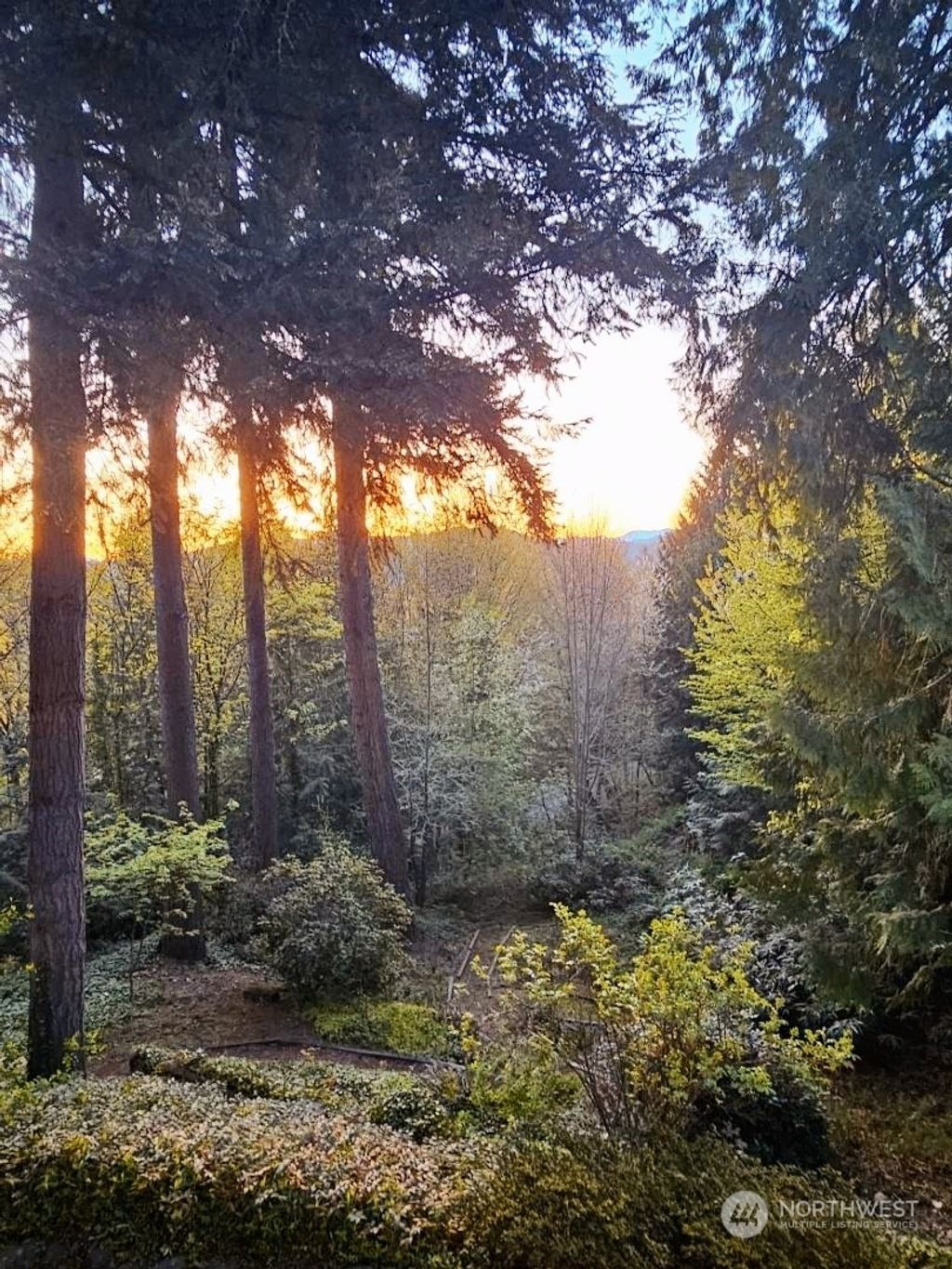 Photo of 0 W Sunset Way, Issaquah, WA 98027 (MLS # 2224804)