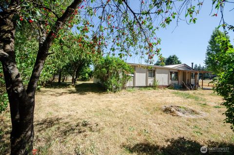 9015 183rd Avenue SW Rochester WA 98579