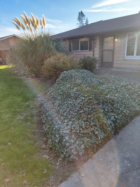Photo of 401 S Gardner RD, Burlington, WA 98233 (MLS # 2540534)