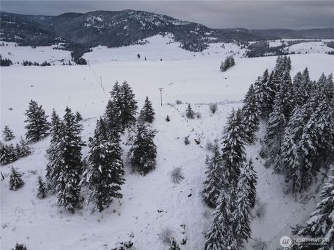 0 Mountain View Road Oroville WA 98844