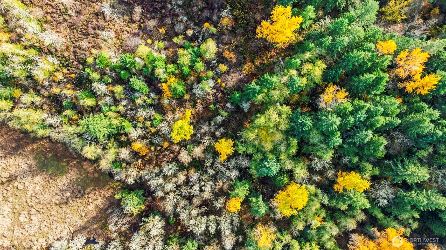 37316 & 37404 68th Avenue E