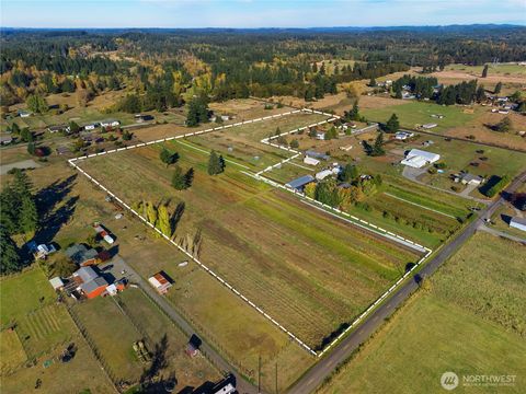 Photo of 3822 163rd Avenue SW, Tenino, WA 98589 (MLS # 2445813)