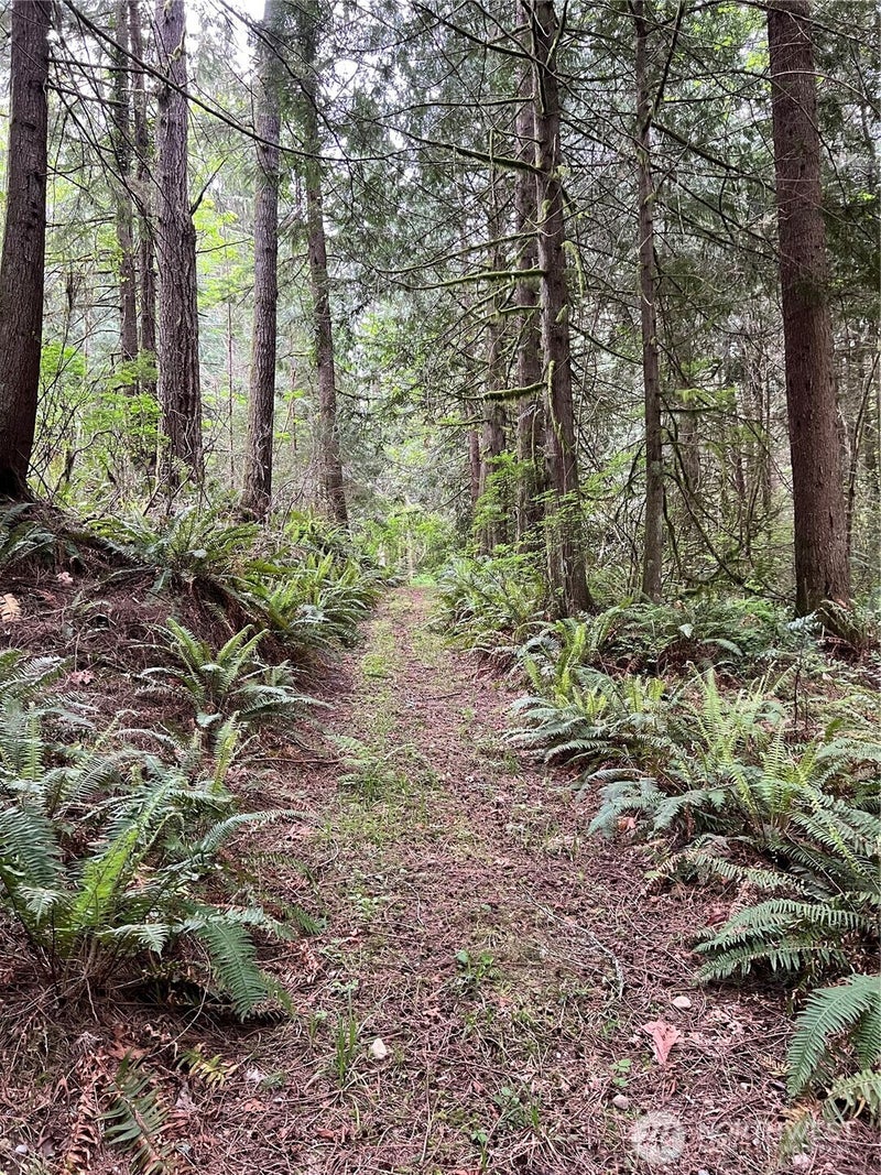 1 SE 51st Street