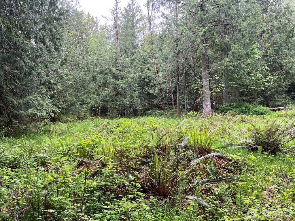 Photo of 1 xxxx SE 51st Street, Preston, WA 98050 (MLS # 2524852)