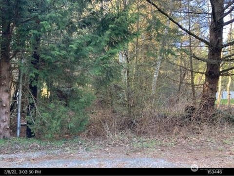 Photo of 1 Deer Road, Point Roberts, WA 98281 (MLS # 2566374)