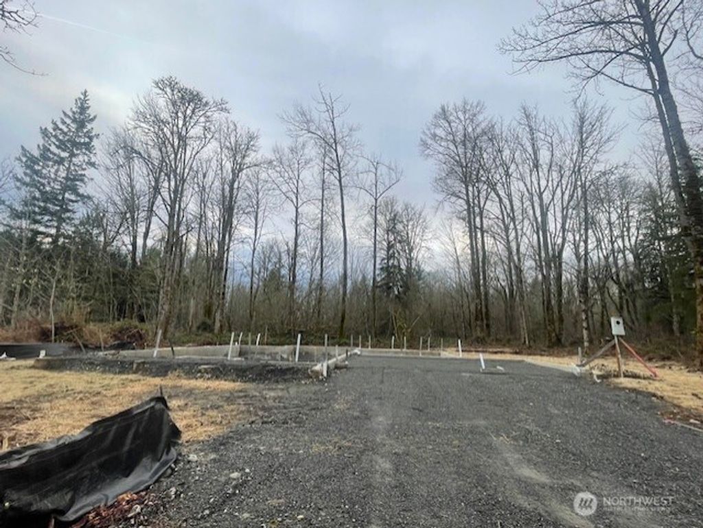 Photo of 4473 260th Avenue NE, Redmond, WA 98053 (MLS # 2470462)