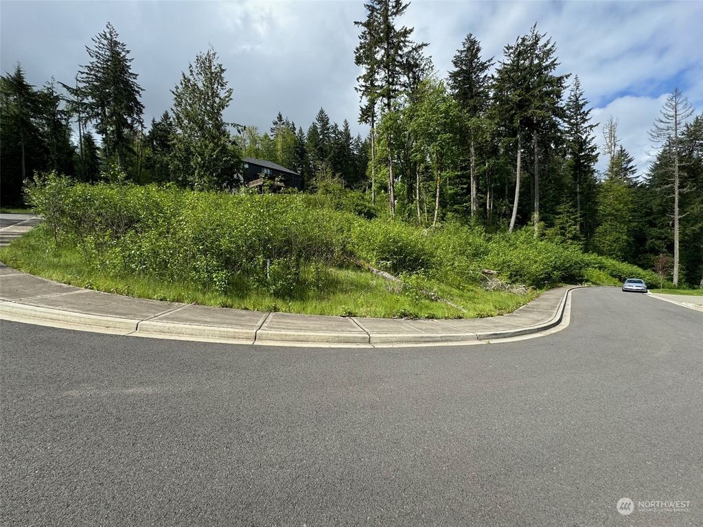 Photo of 17845 SE Cougar Mountain Drive #lot 5, Bellevue, WA 98006 (MLS # 2247238)