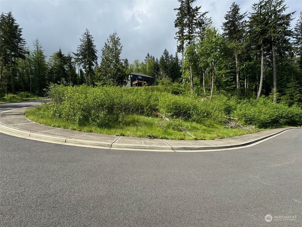 Photo of 17845 SE Cougar Mountain Drive #lot 5, Bellevue, WA 98006 (MLS # 2247238)