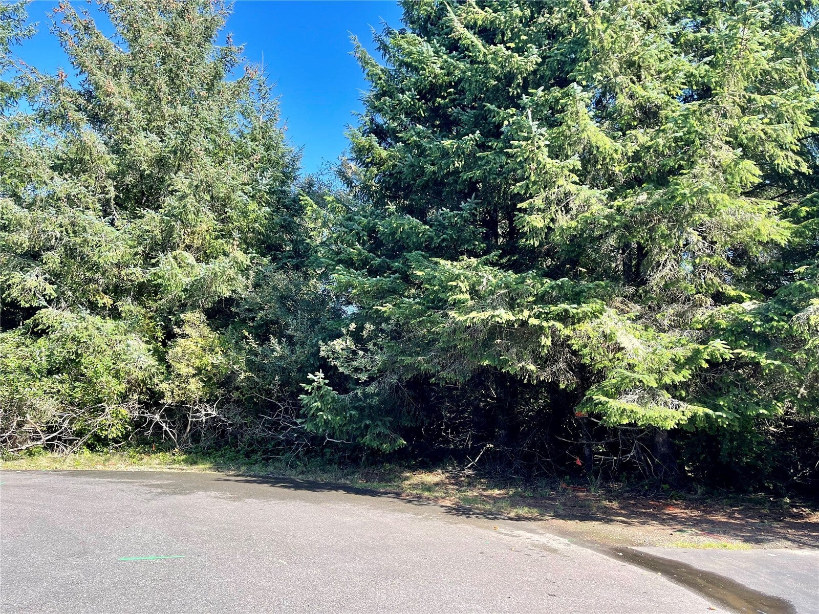 344 Redwood Court SE